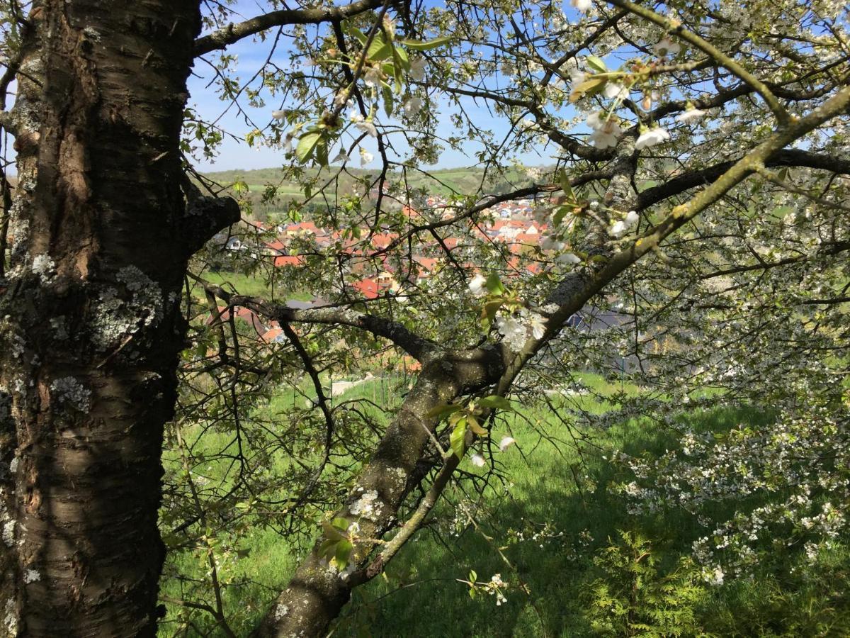 Sweetsuites 40A Lavendelhaus Muhlhausen  Bagian luar foto