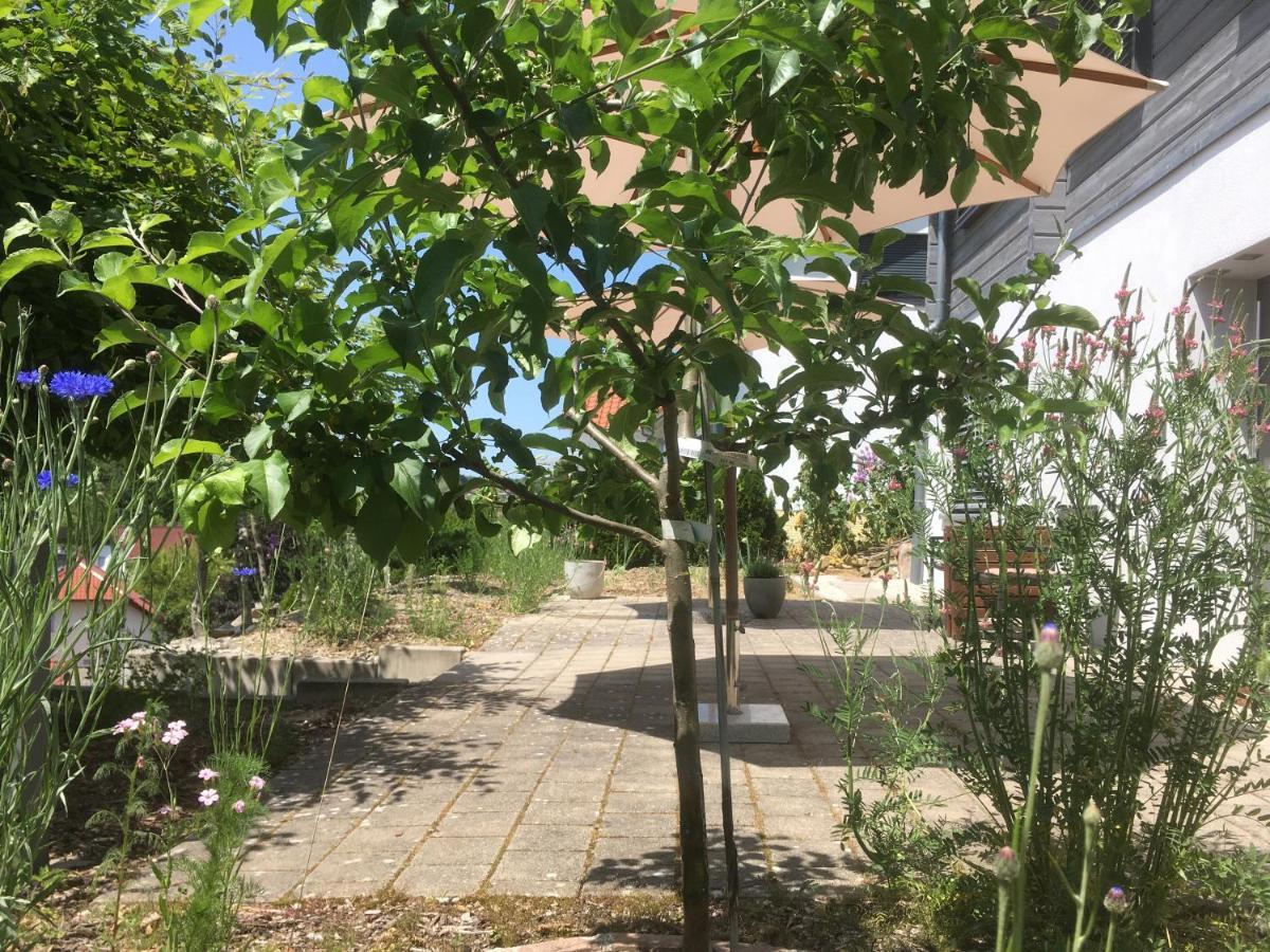 Sweetsuites 40A Lavendelhaus Muhlhausen  Bagian luar foto