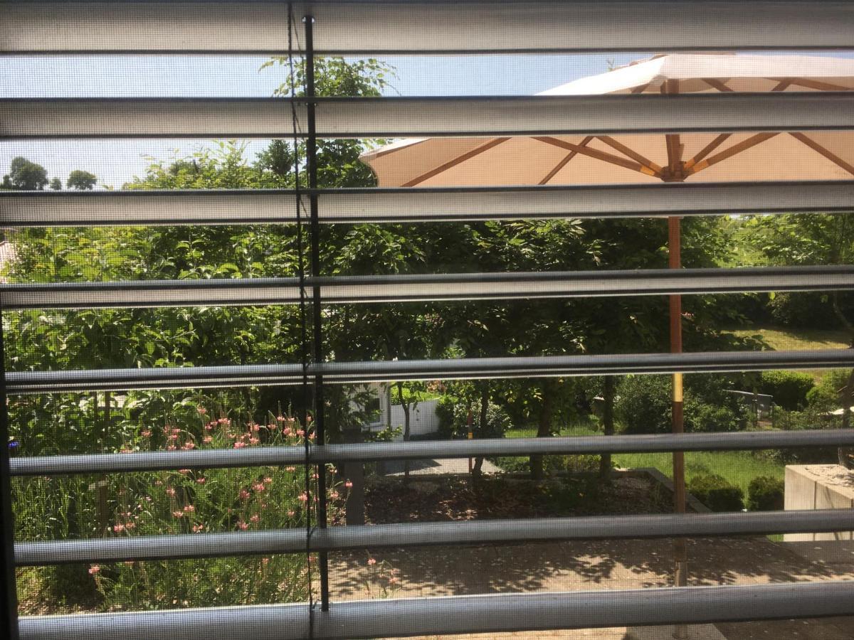 Sweetsuites 40A Lavendelhaus Muhlhausen  Bagian luar foto